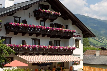 Alpenrose