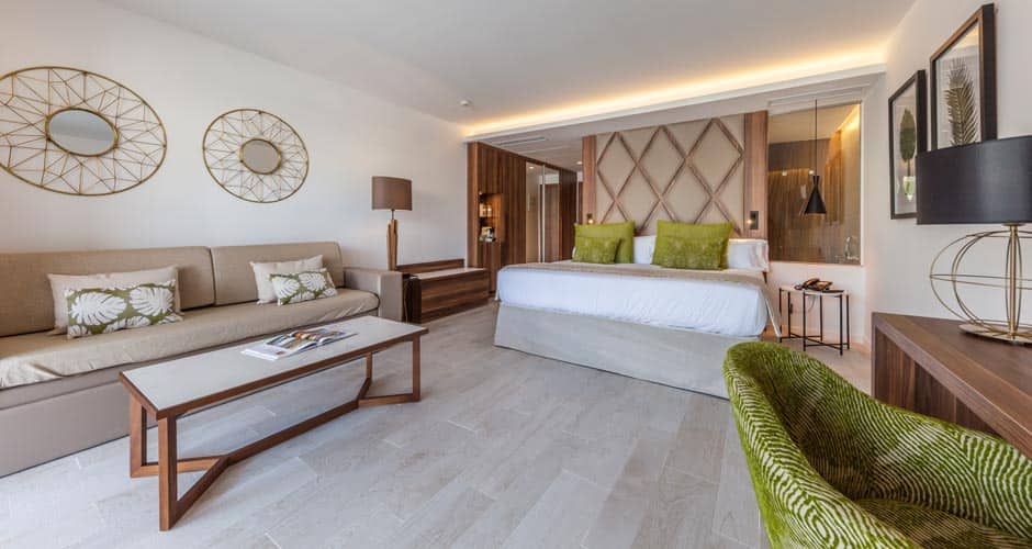 <p>juniorsviitti</p>