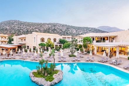 Cactus Royal, Stalis