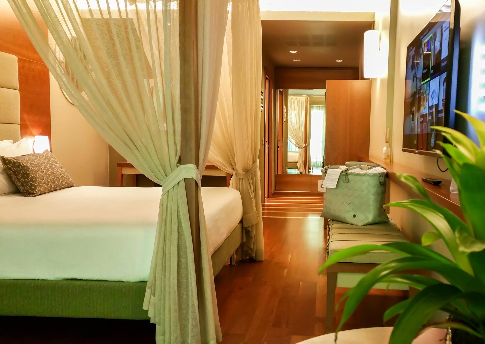 <p>juniorsviitti</p>