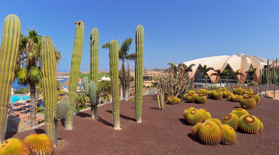 H10 Playa Meloneras Horizons Collection 20