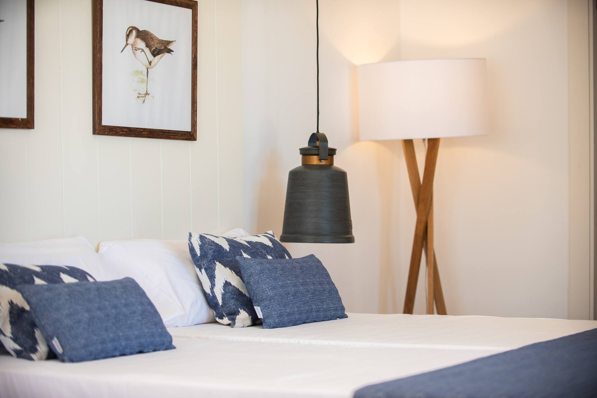 <p>juniorsviitti</p>