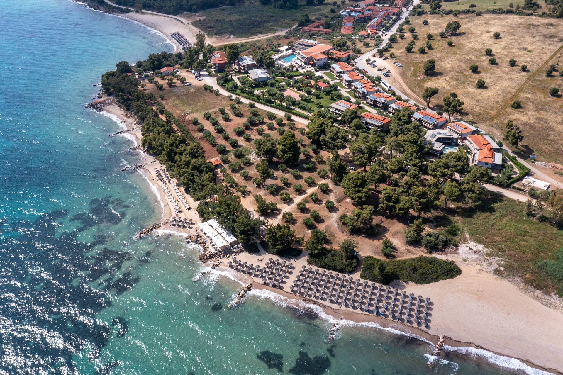 Blue Dolphin Resort, Metamorfosi